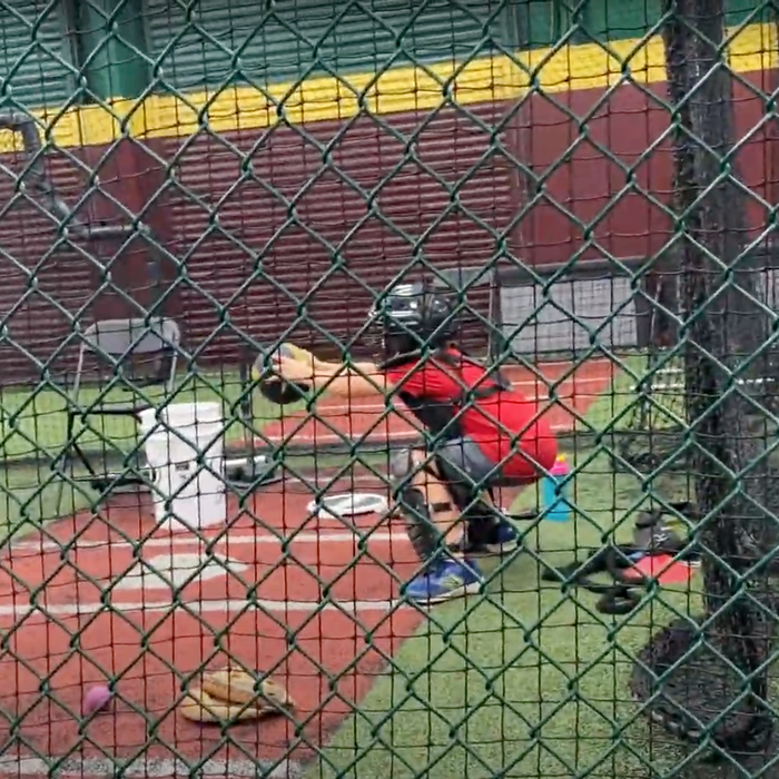 One-on-One Baseball Lessons: Improving Mechanics and Performance for Aspiring Players